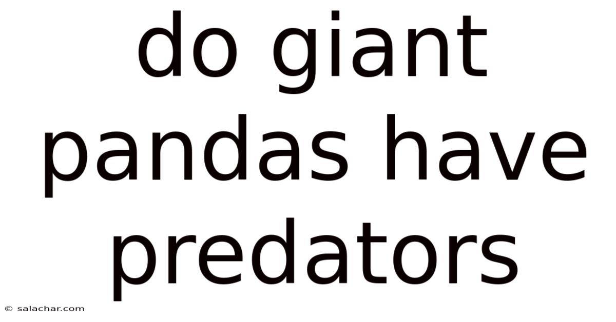 Do Giant Pandas Have Predators