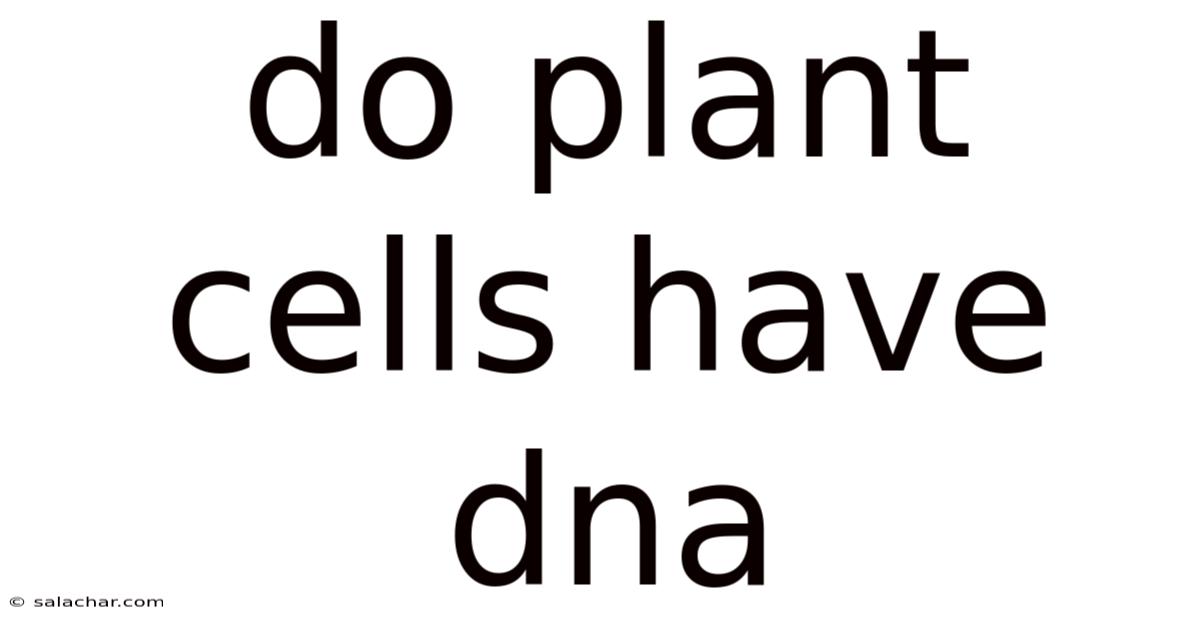 Do Plant Cells Have Dna