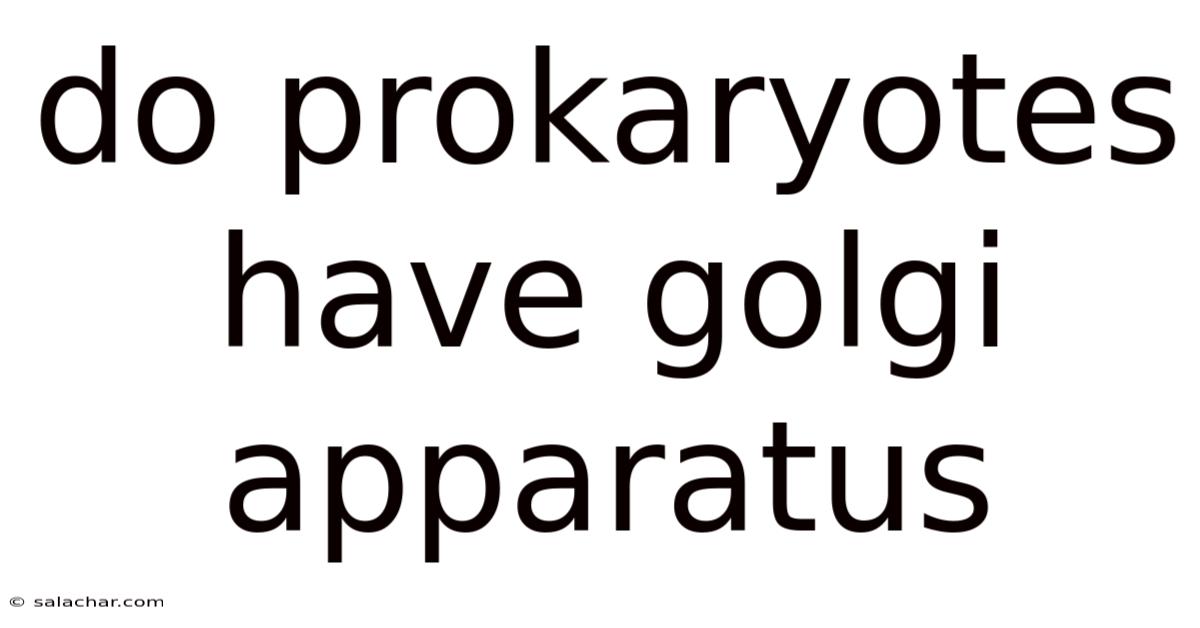 Do Prokaryotes Have Golgi Apparatus