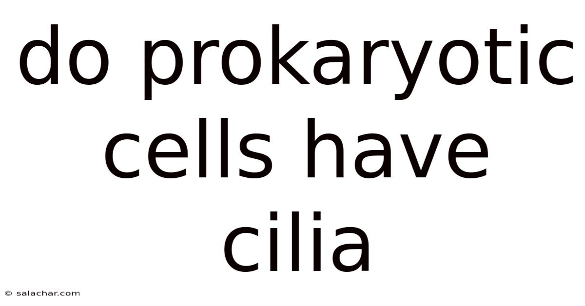 Do Prokaryotic Cells Have Cilia