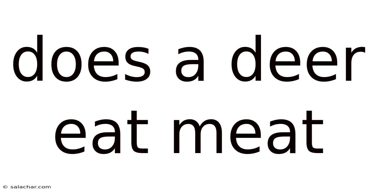 Does A Deer Eat Meat