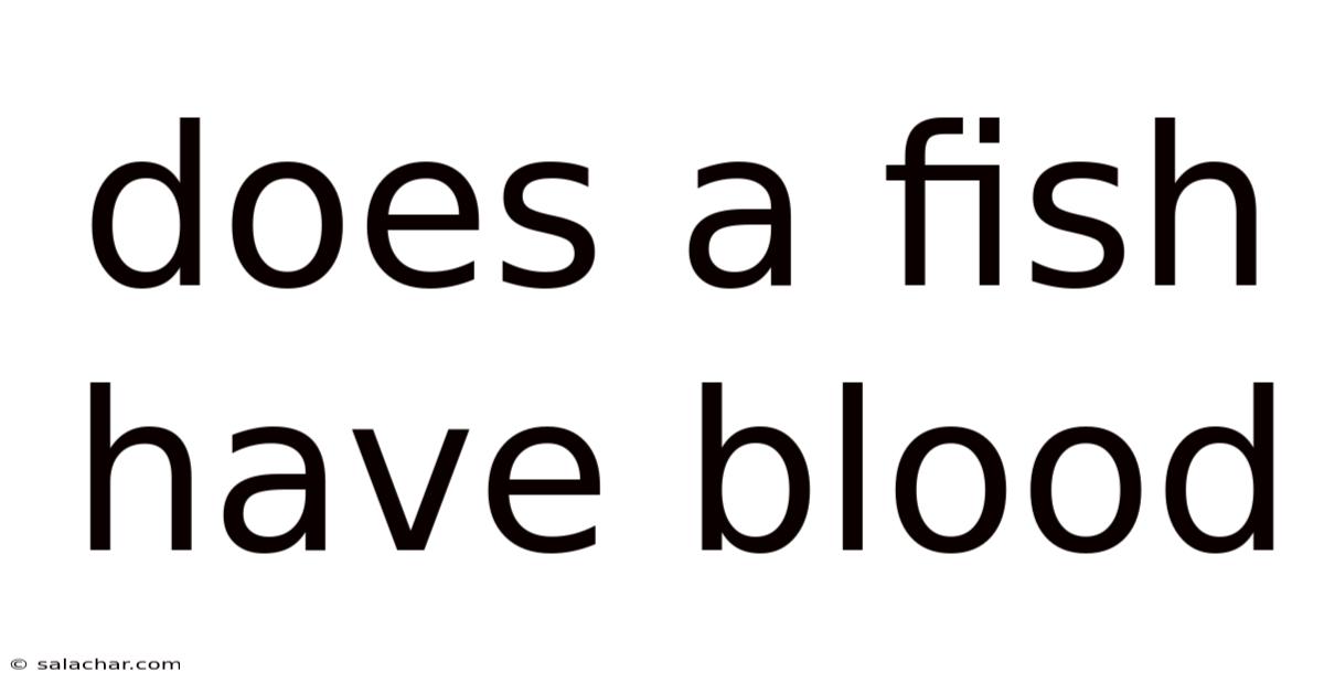 Does A Fish Have Blood
