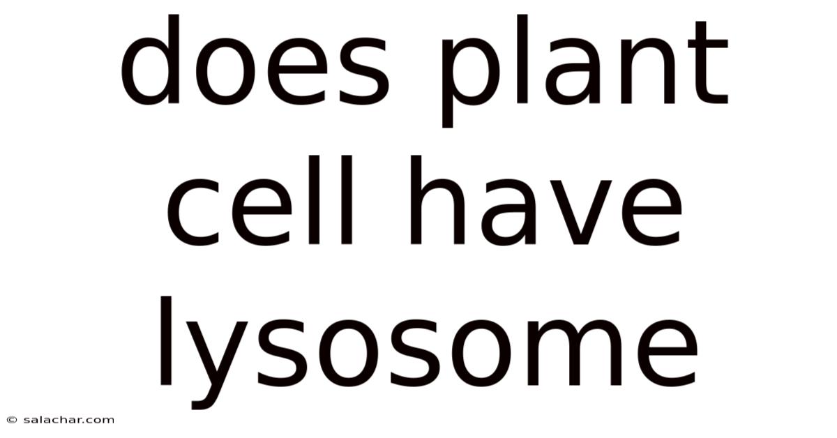 Does Plant Cell Have Lysosome