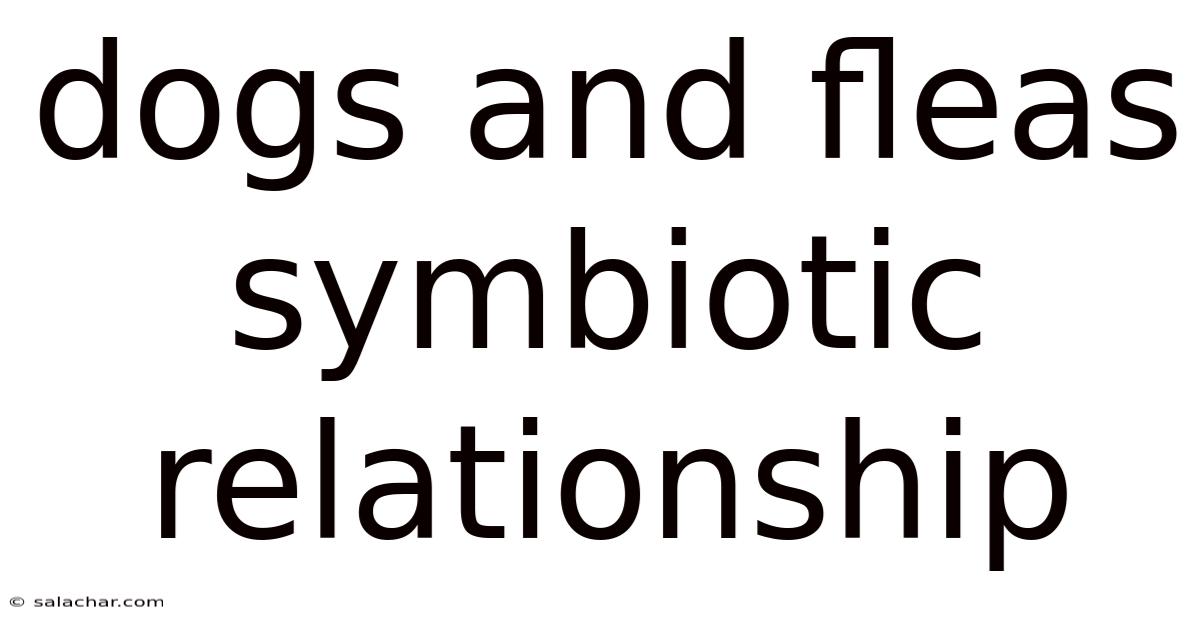 Dogs And Fleas Symbiotic Relationship