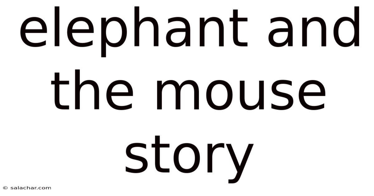 Elephant And The Mouse Story