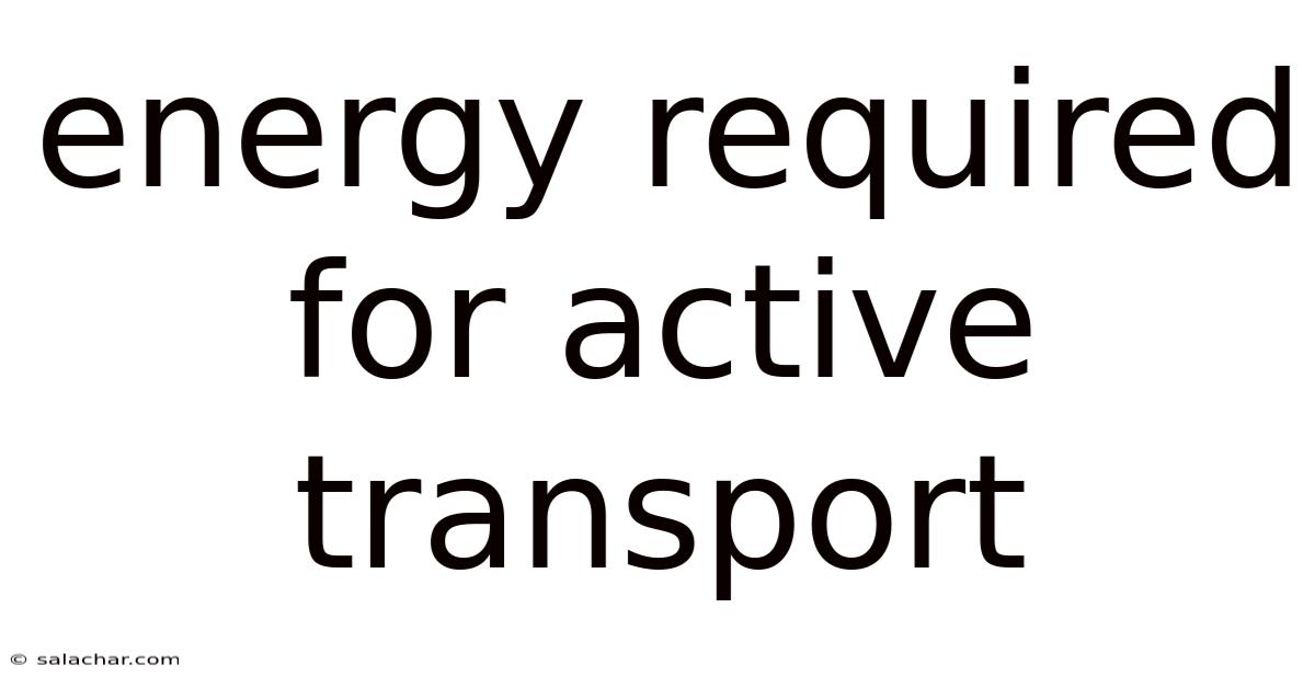 Energy Required For Active Transport