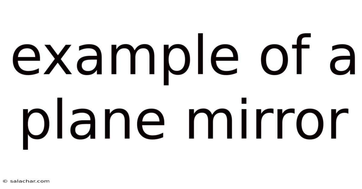 Example Of A Plane Mirror