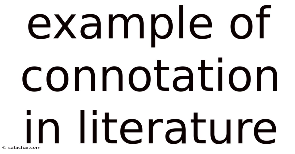 Example Of Connotation In Literature