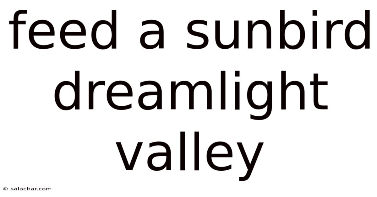 Feed A Sunbird Dreamlight Valley
