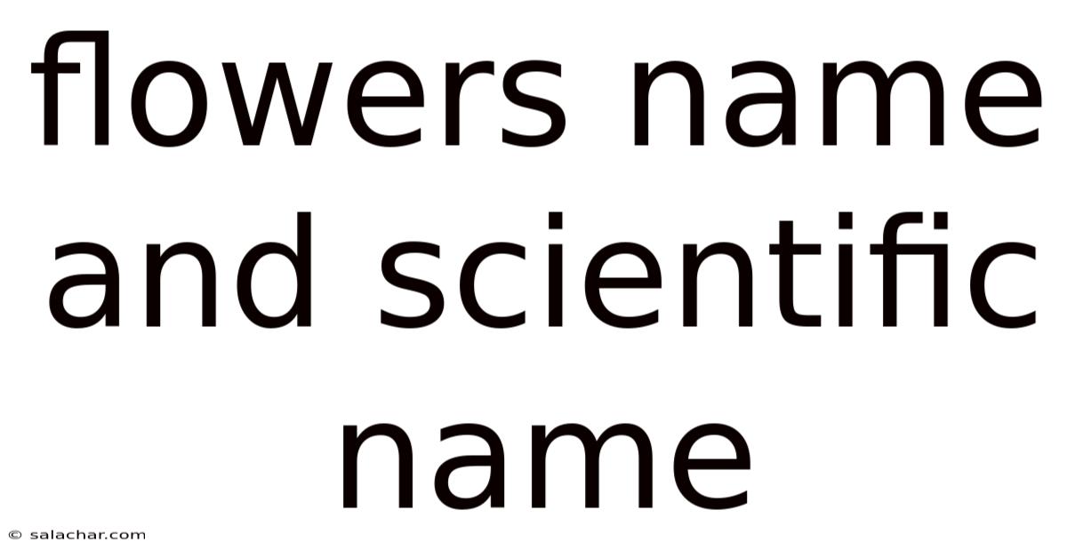 Flowers Name And Scientific Name