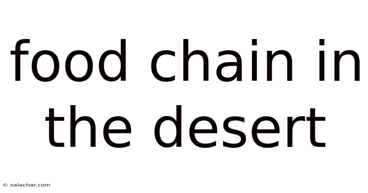 Food Chain In The Desert