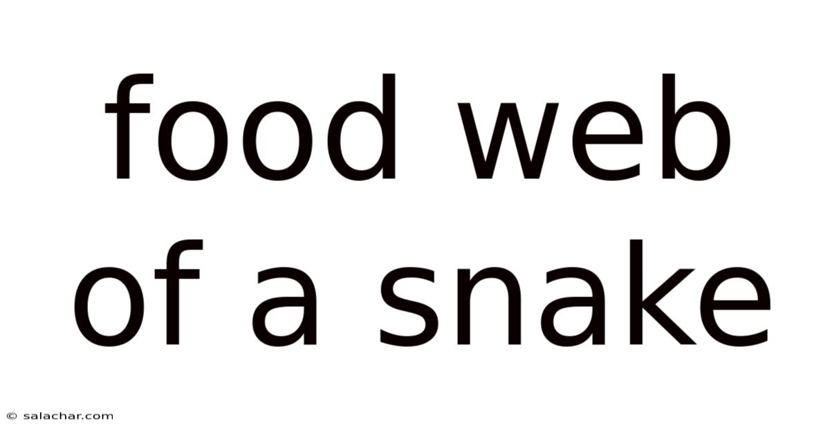 Food Web Of A Snake