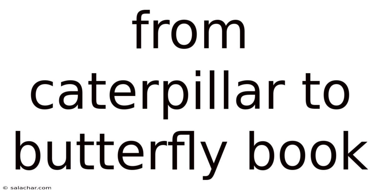 From Caterpillar To Butterfly Book