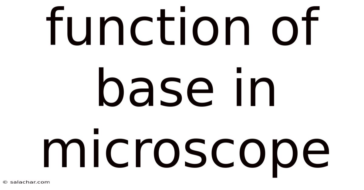Function Of Base In Microscope