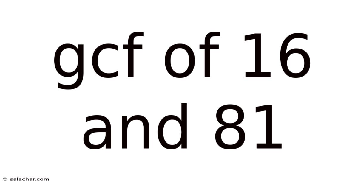 Gcf Of 16 And 81