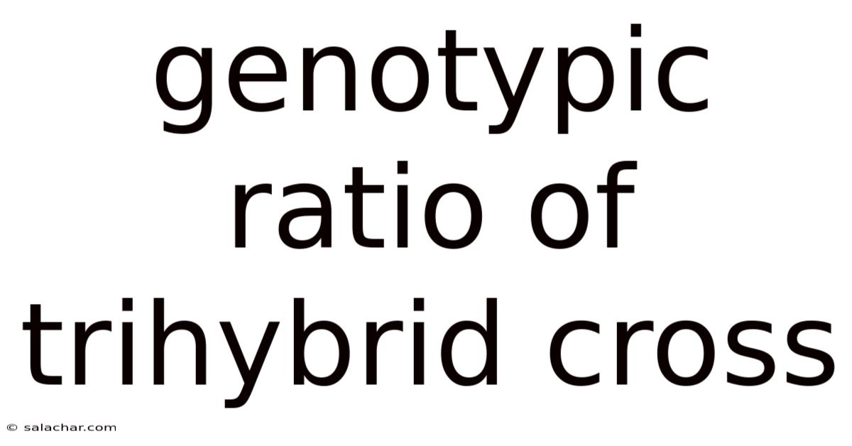 Genotypic Ratio Of Trihybrid Cross