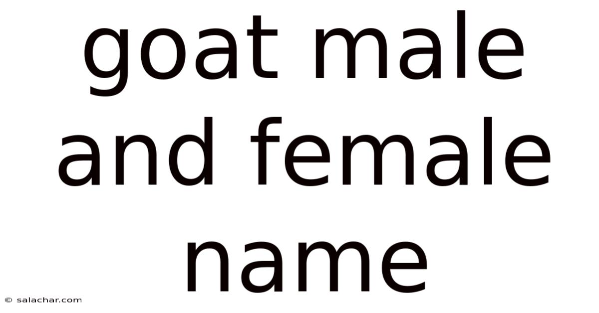Goat Male And Female Name