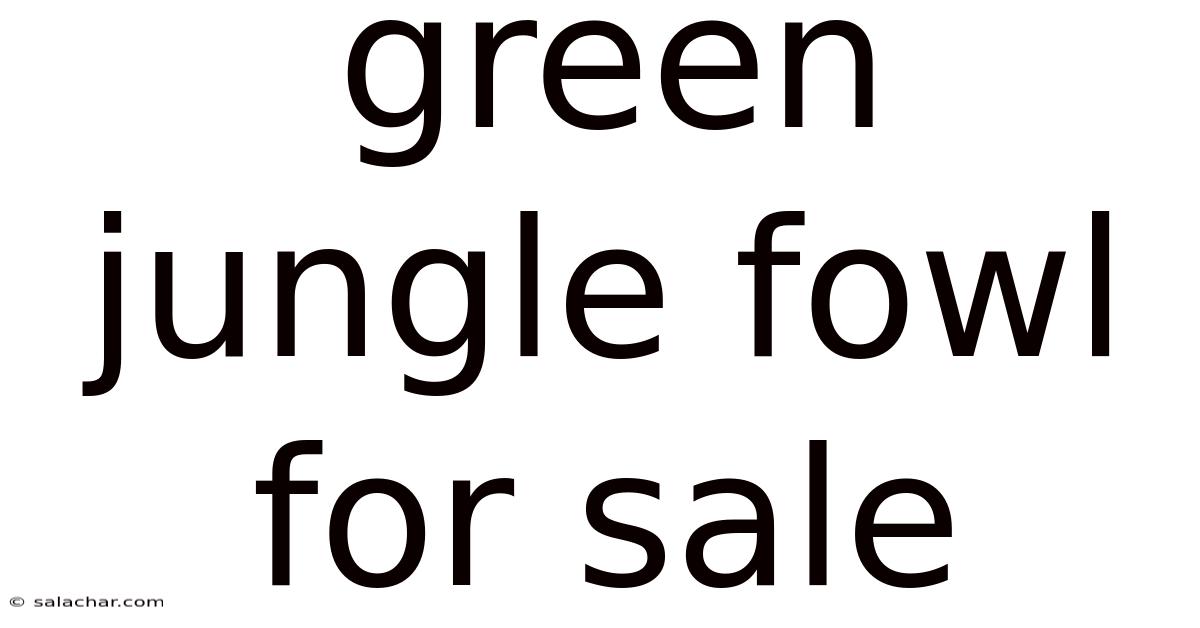 Green Jungle Fowl For Sale
