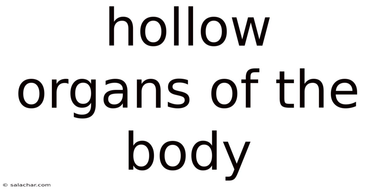 Hollow Organs Of The Body