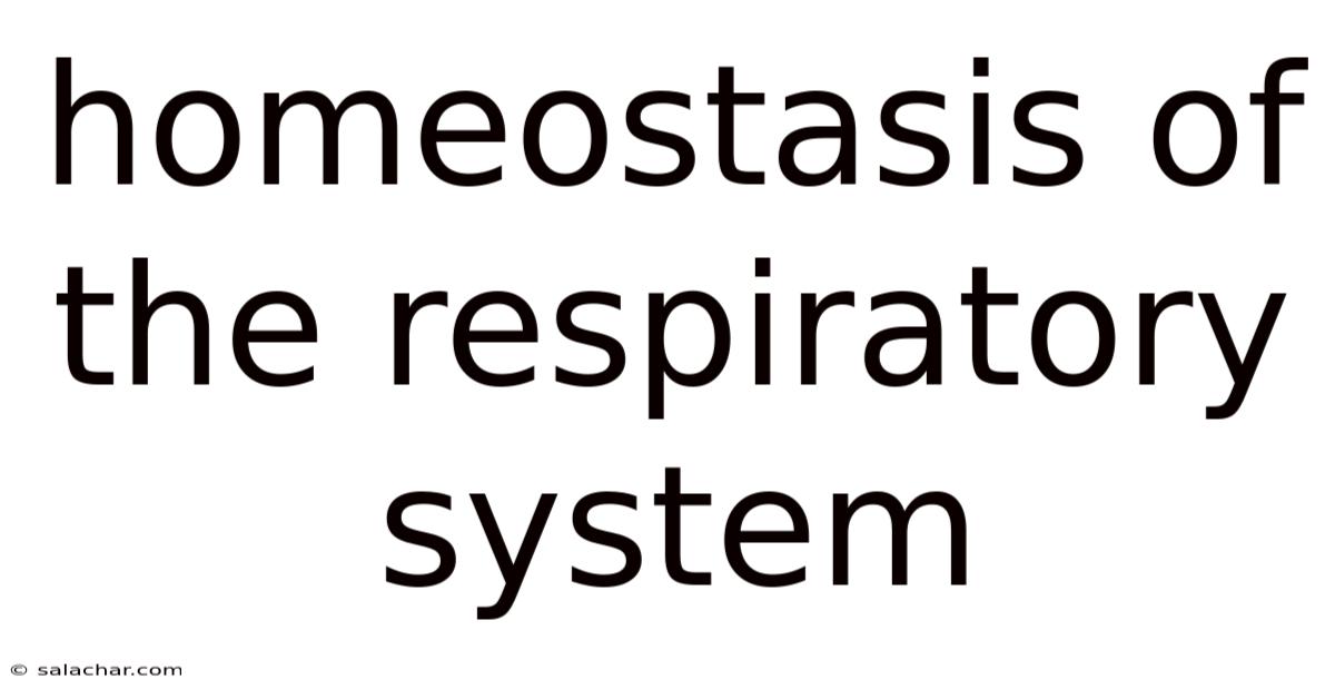 Homeostasis Of The Respiratory System