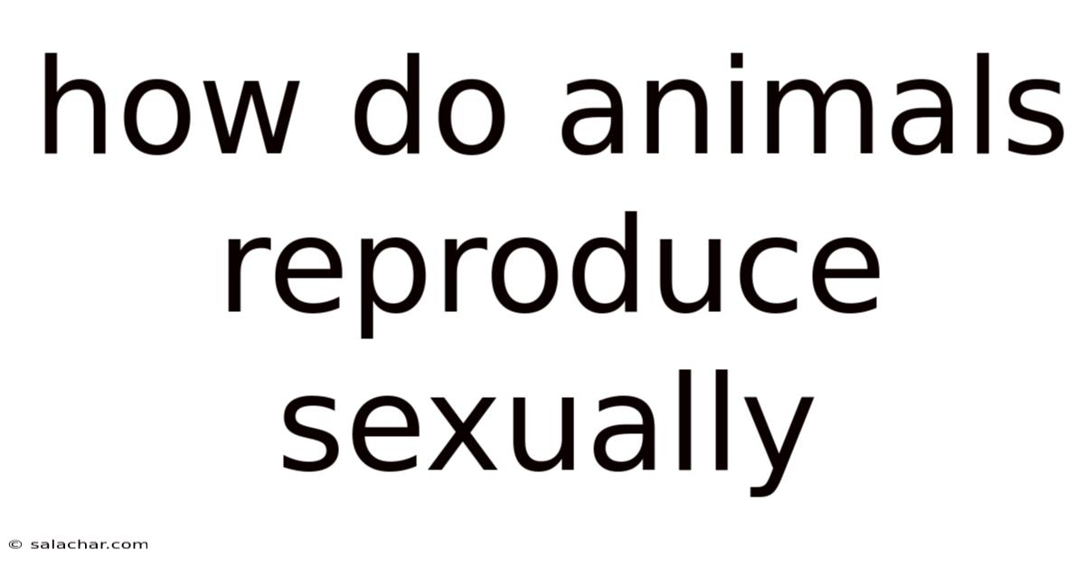 How Do Animals Reproduce Sexually