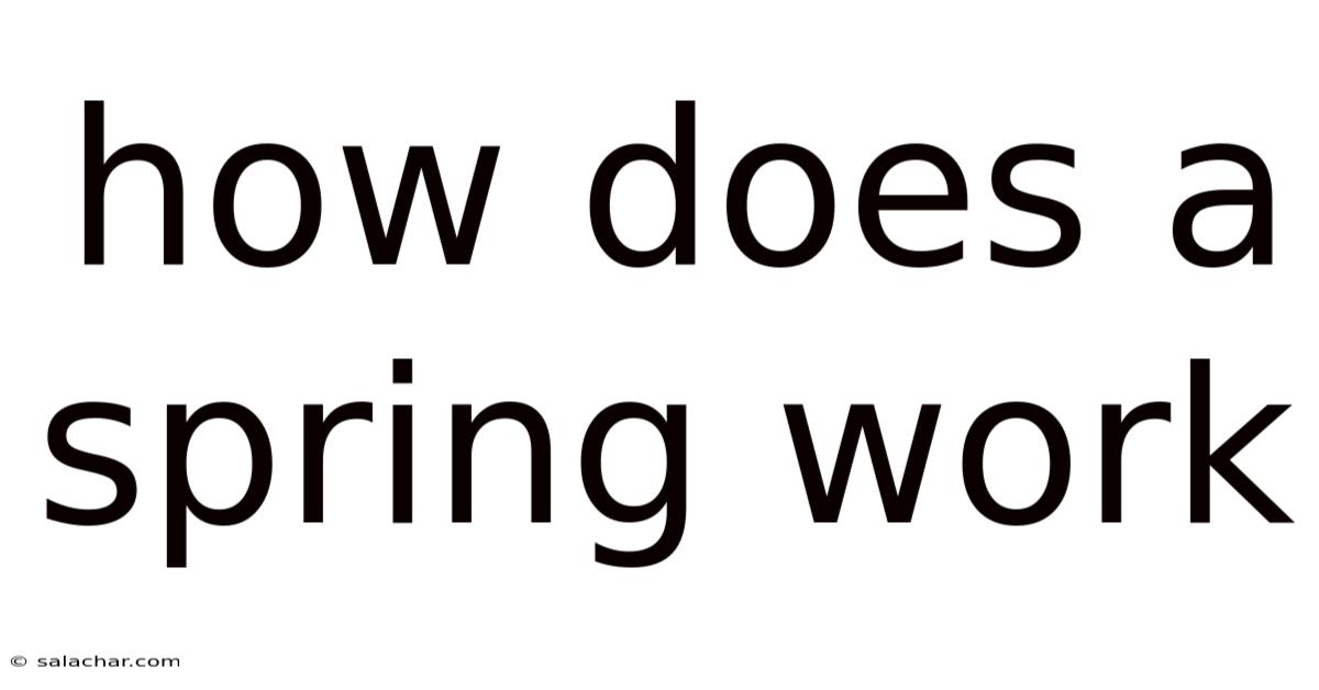 How Does A Spring Work