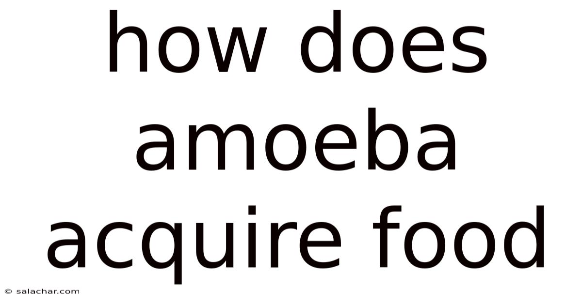 How Does Amoeba Acquire Food