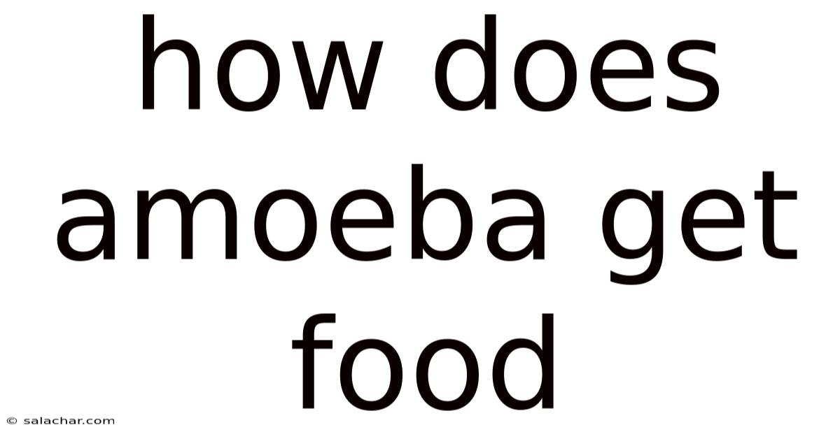 How Does Amoeba Get Food