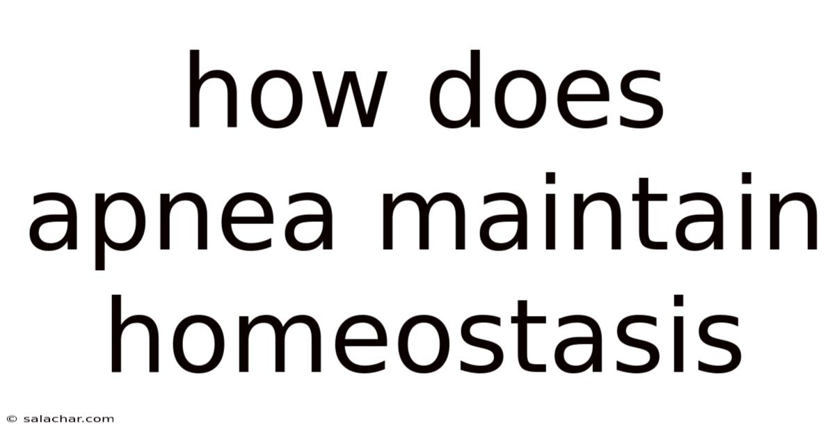 How Does Apnea Maintain Homeostasis