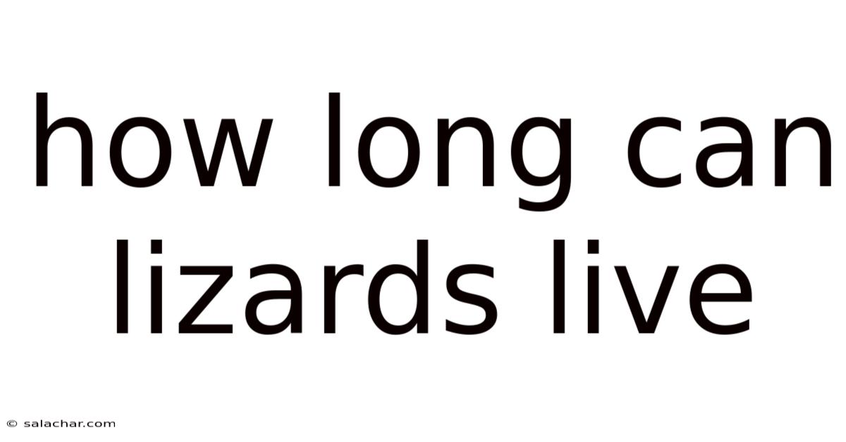 How Long Can Lizards Live