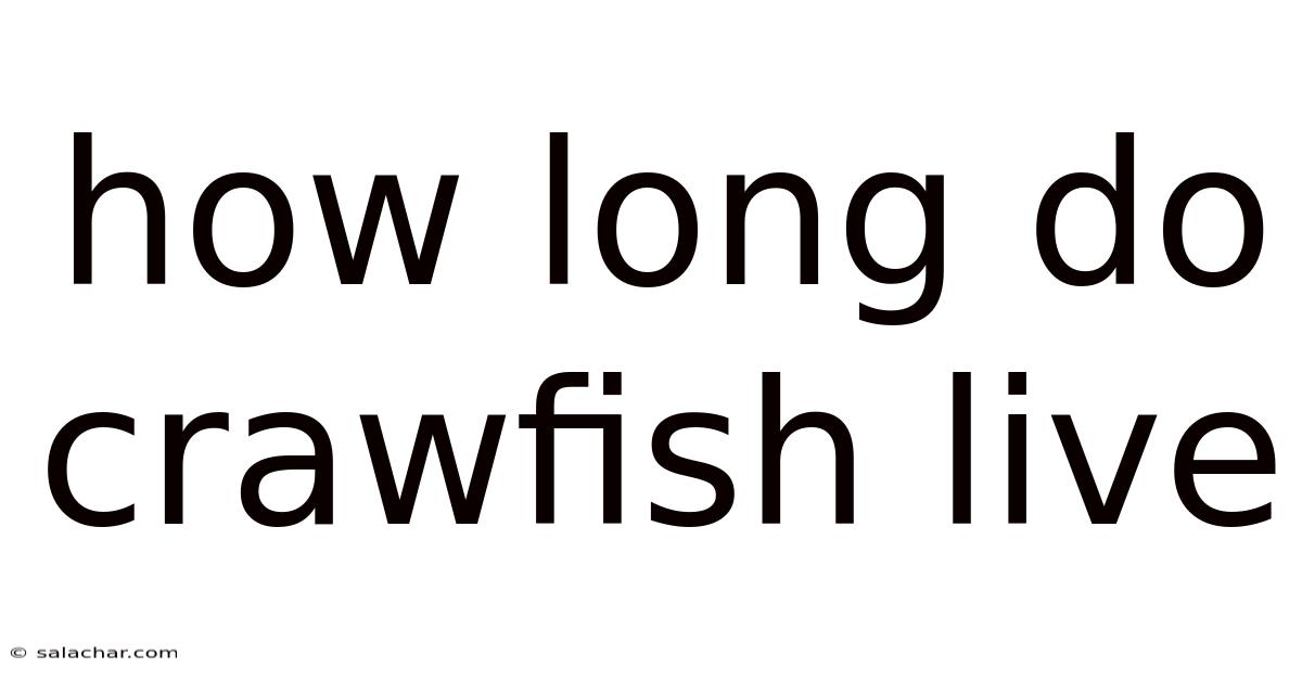 How Long Do Crawfish Live