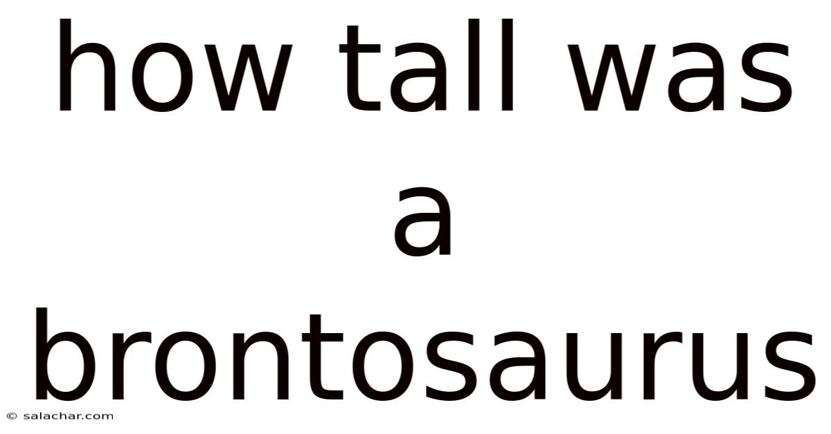 How Tall Was A Brontosaurus
