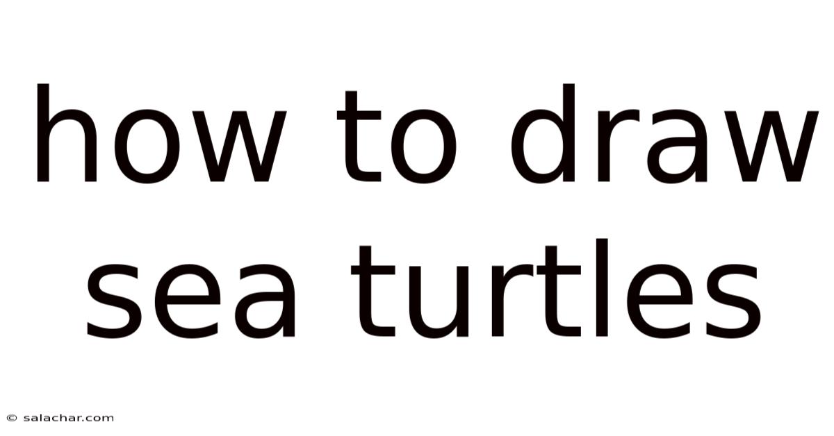 How To Draw Sea Turtles