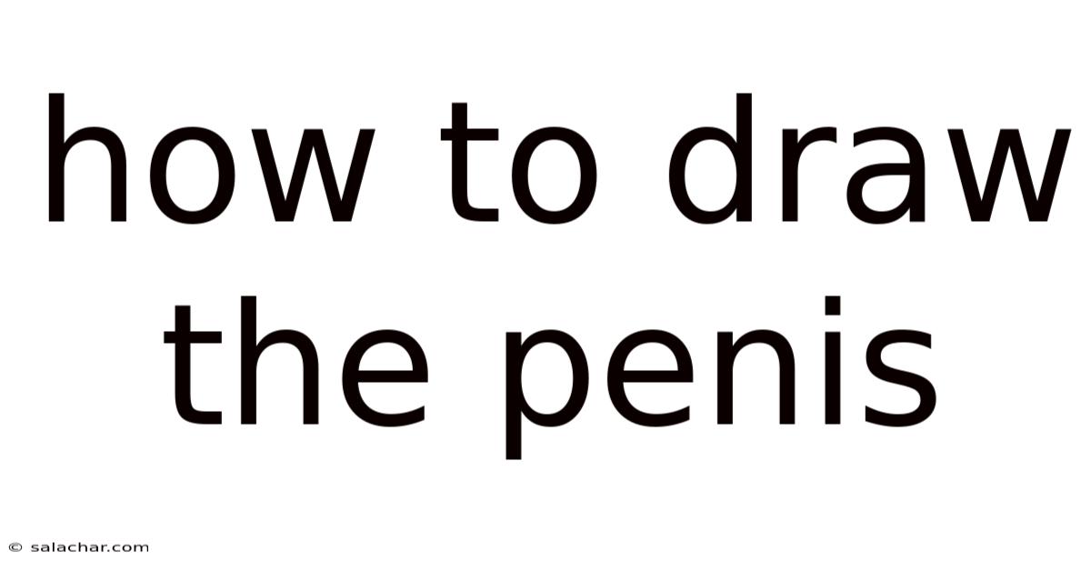 How To Draw The Penis