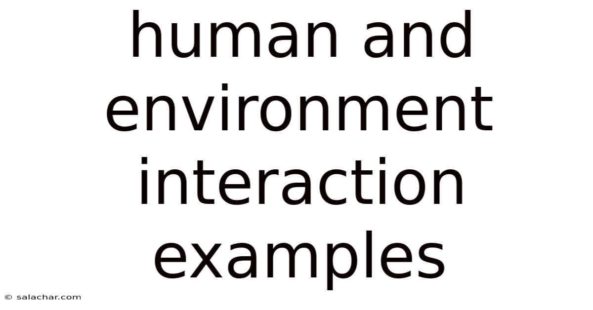 Human And Environment Interaction Examples