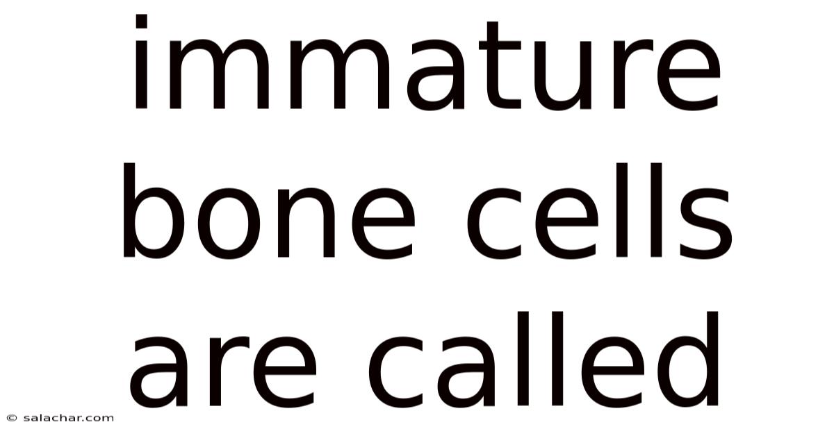 Immature Bone Cells Are Called