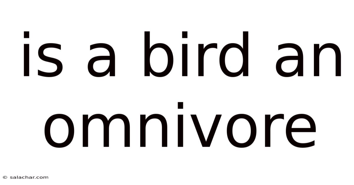 Is A Bird An Omnivore