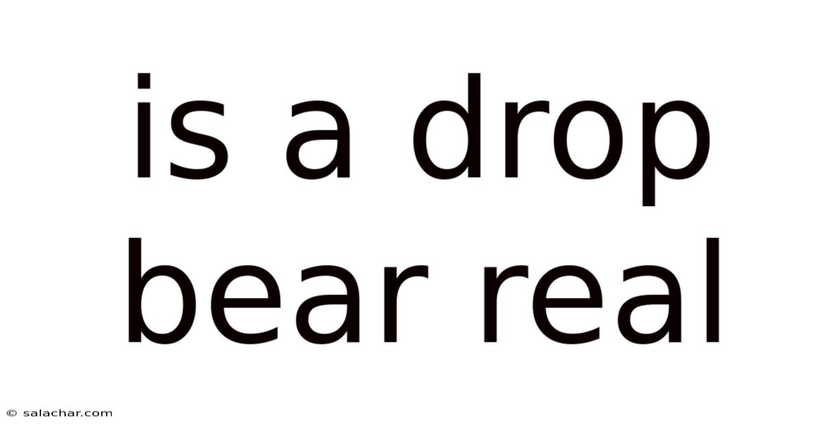 Is A Drop Bear Real