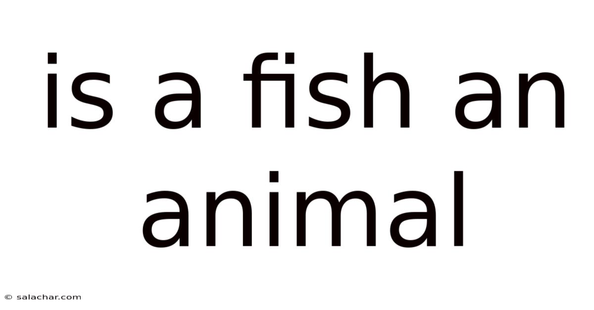 Is A Fish An Animal