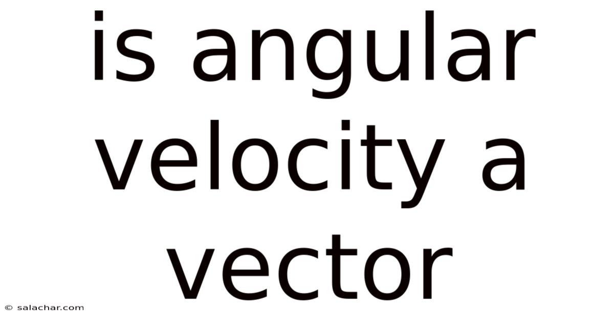 Is Angular Velocity A Vector