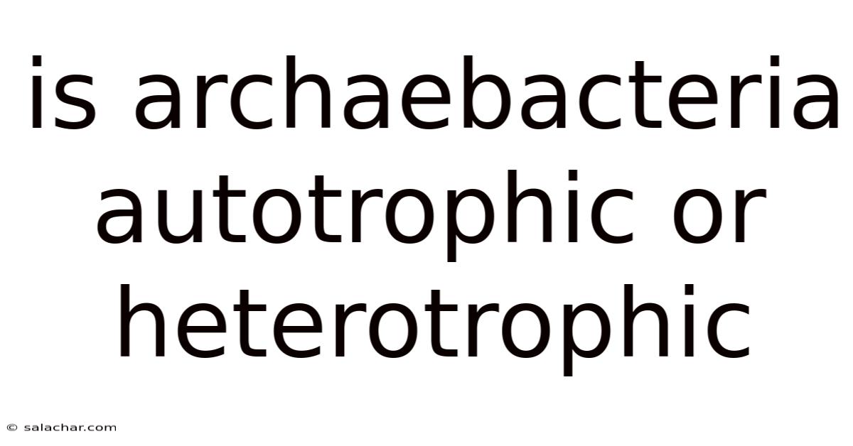 Is Archaebacteria Autotrophic Or Heterotrophic