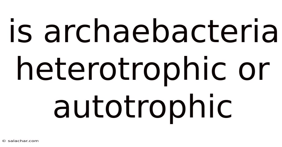 Is Archaebacteria Heterotrophic Or Autotrophic