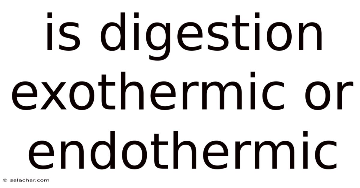 Is Digestion Exothermic Or Endothermic