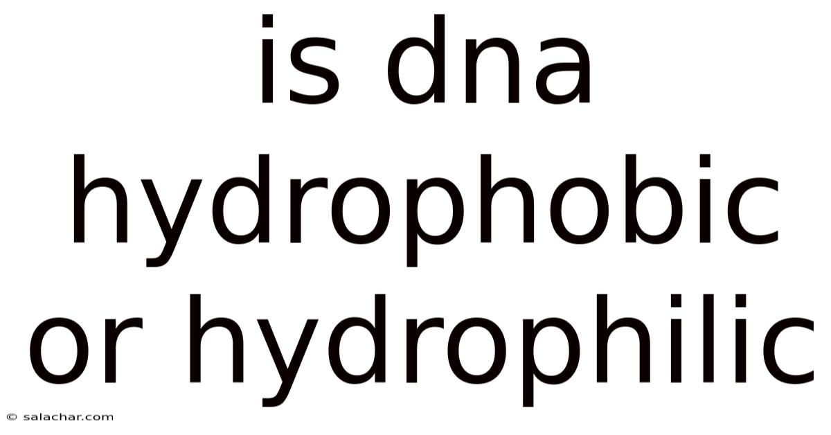 Is Dna Hydrophobic Or Hydrophilic