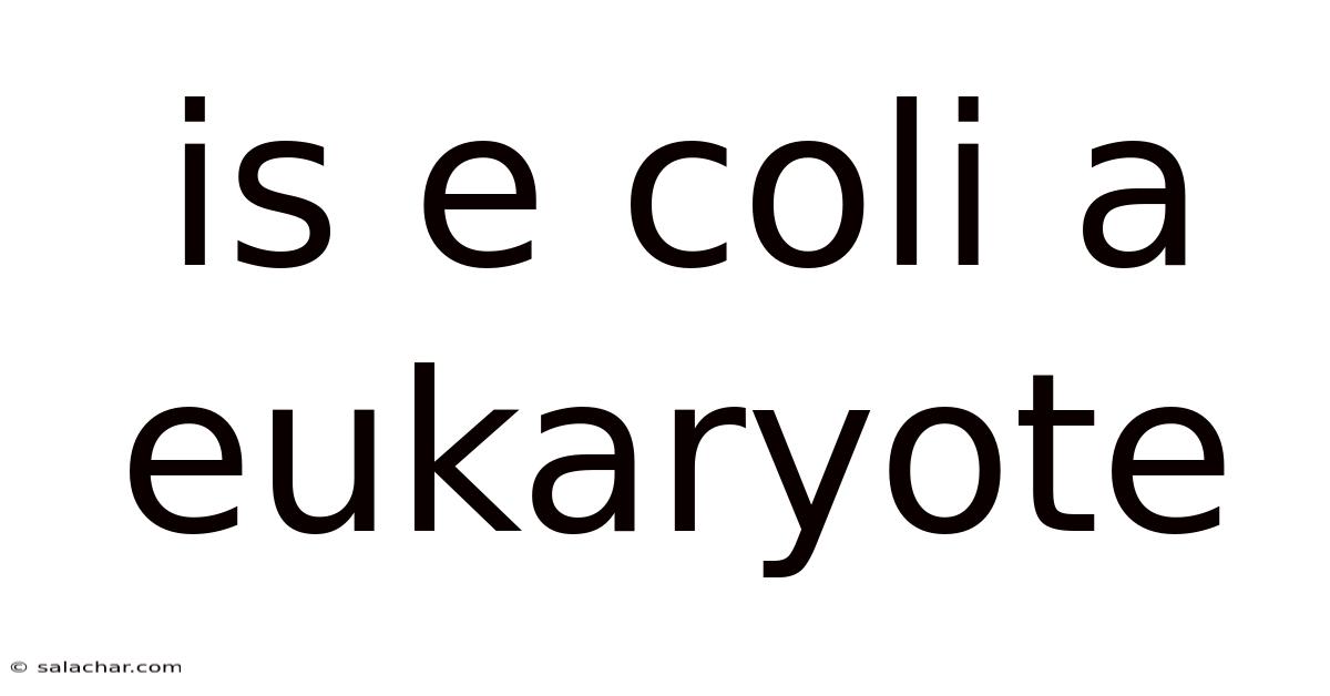 Is E Coli A Eukaryote