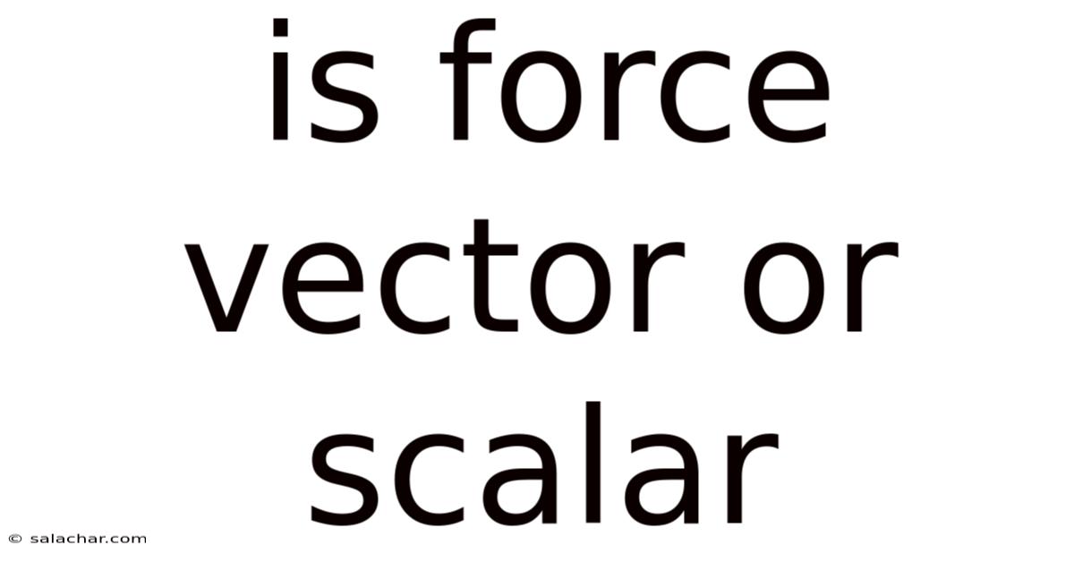 Is Force Vector Or Scalar