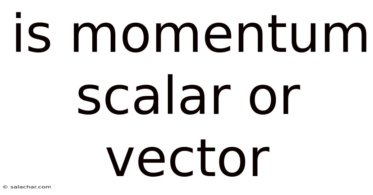 Is Momentum Scalar Or Vector