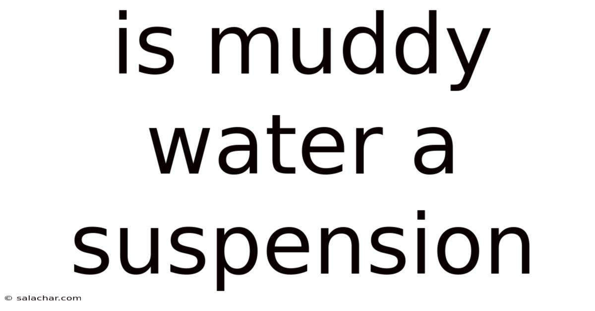 Is Muddy Water A Suspension