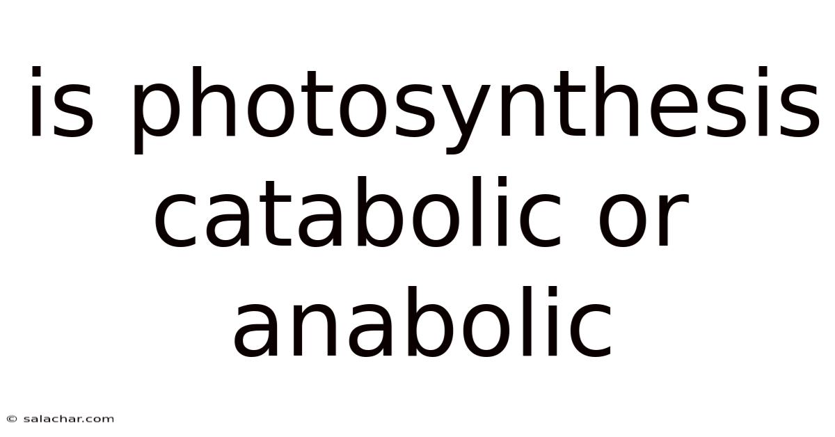 Is Photosynthesis Catabolic Or Anabolic
