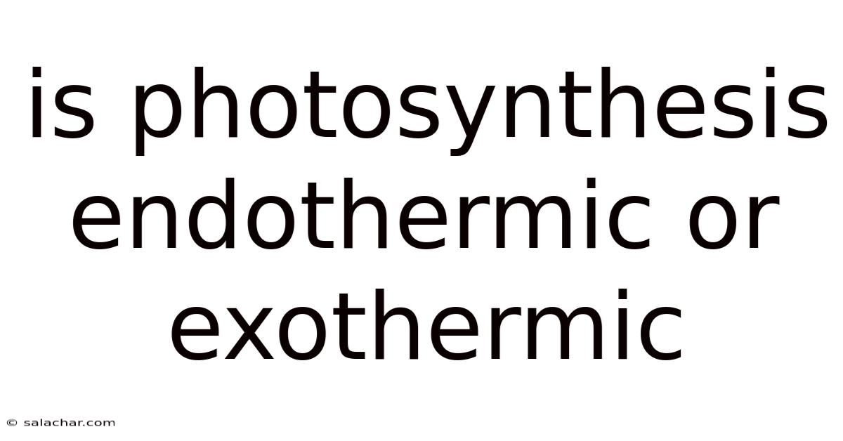 Is Photosynthesis Endothermic Or Exothermic